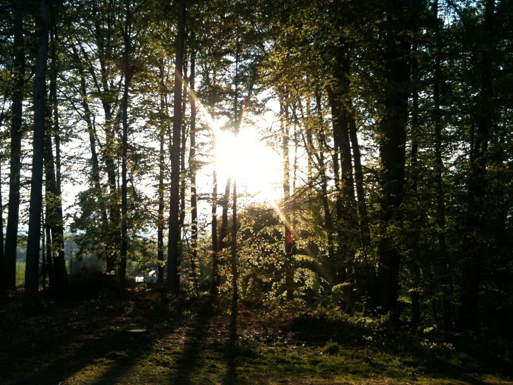 Waldpension Schiefling Am See Exteriör bild