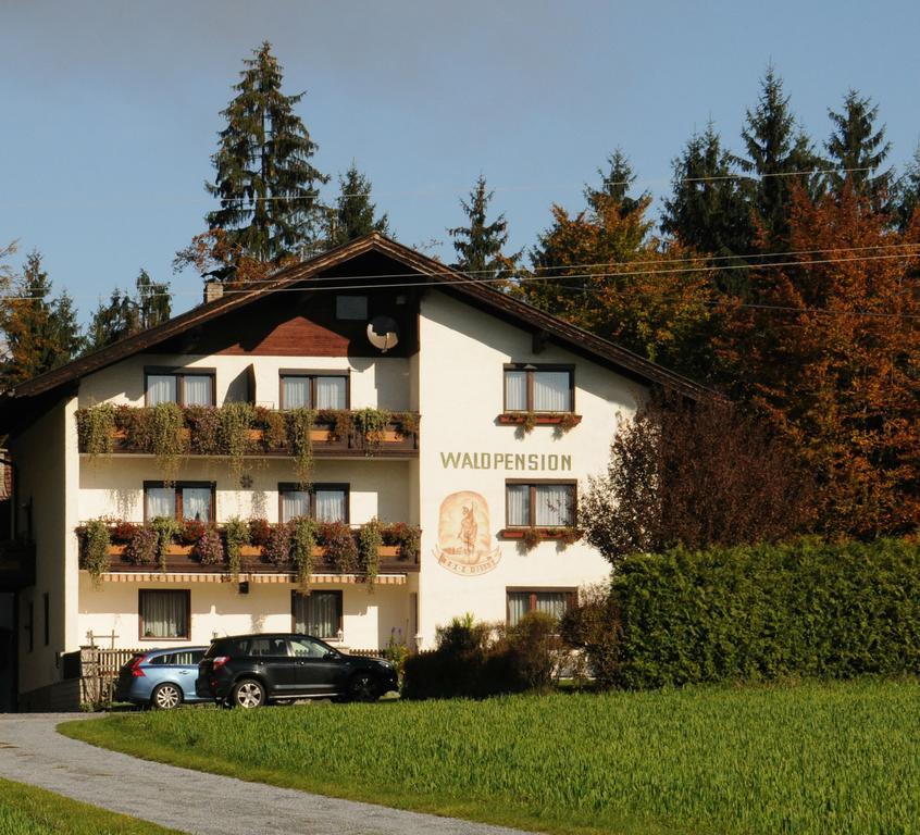 Waldpension Schiefling Am See Exteriör bild