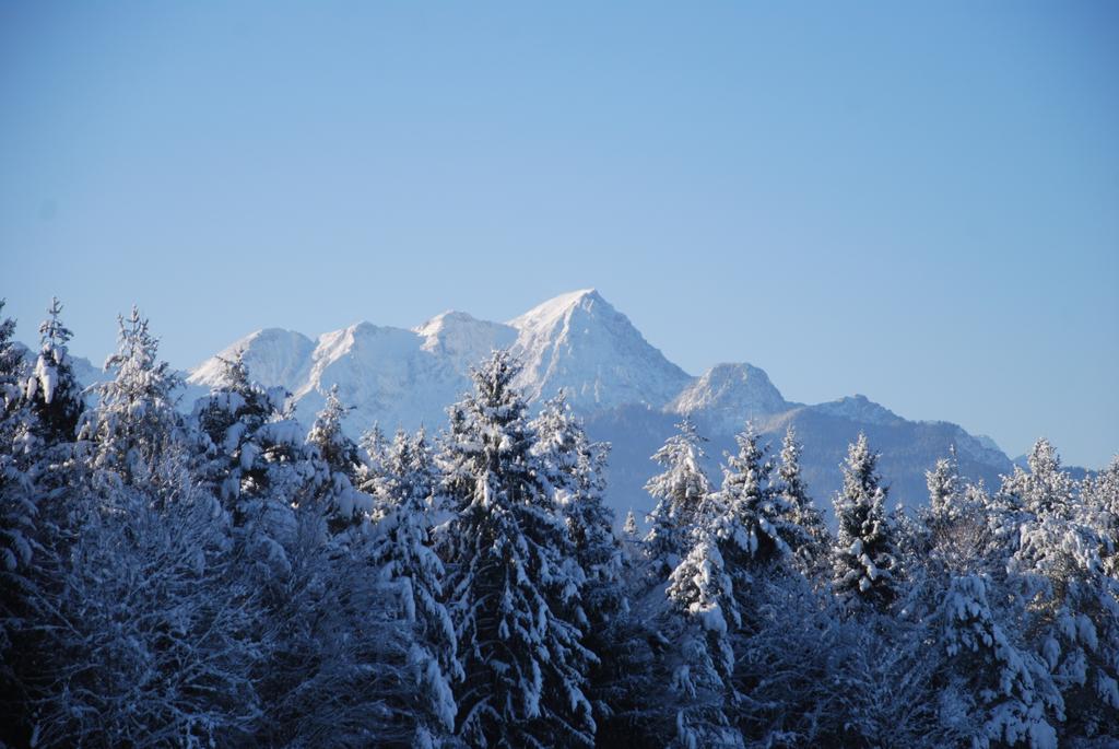 Waldpension Schiefling Am See Exteriör bild